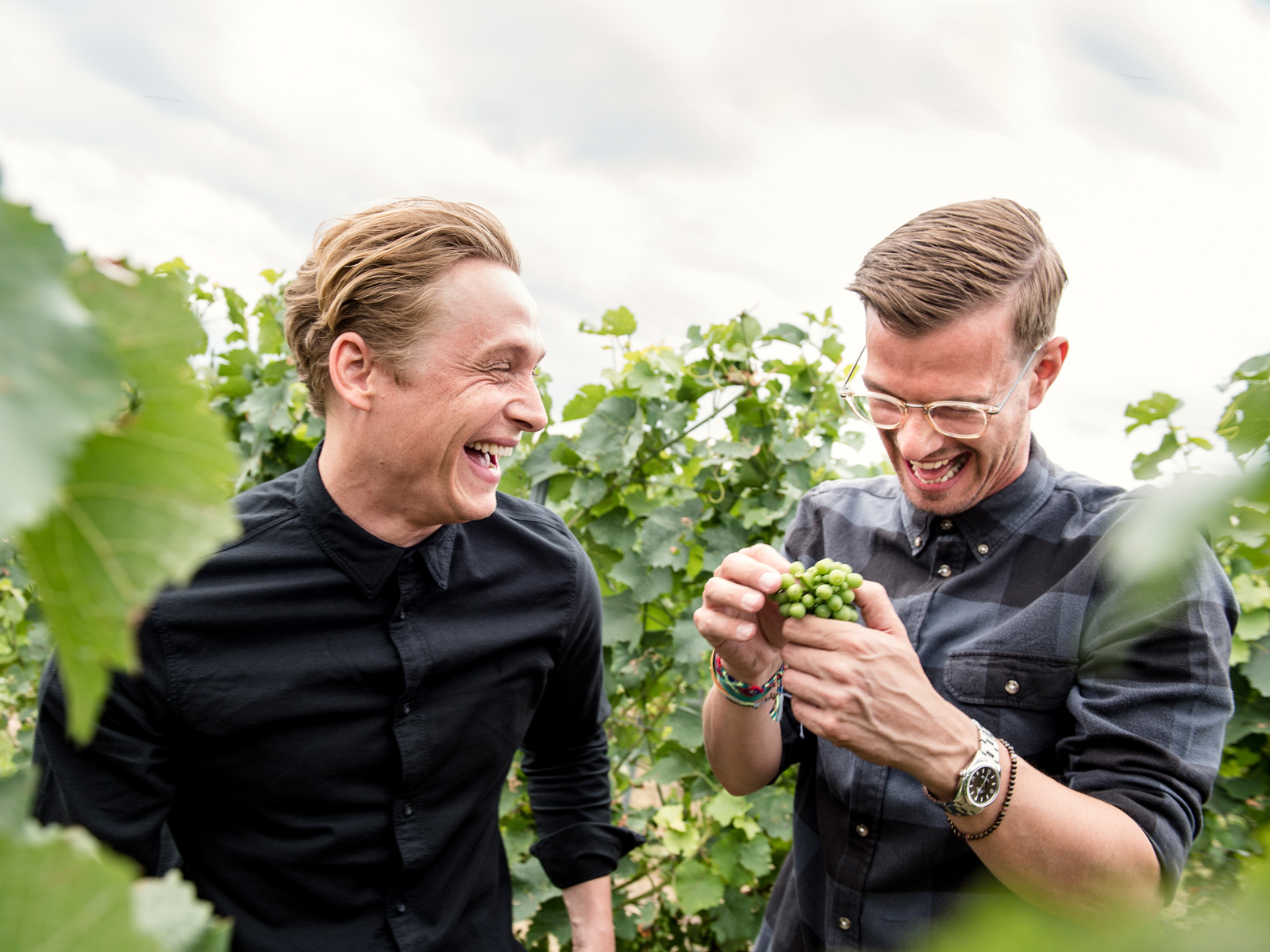 III Freunde wine - Joko Winterscheidt, Matthias Schweighöfer und Juliane Eller