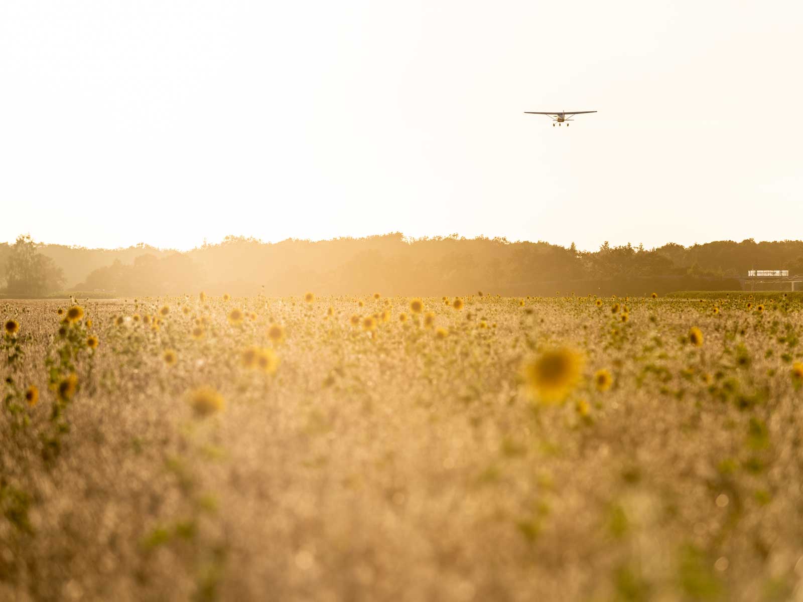 aerial photographer Philipp Prinzing plane photography