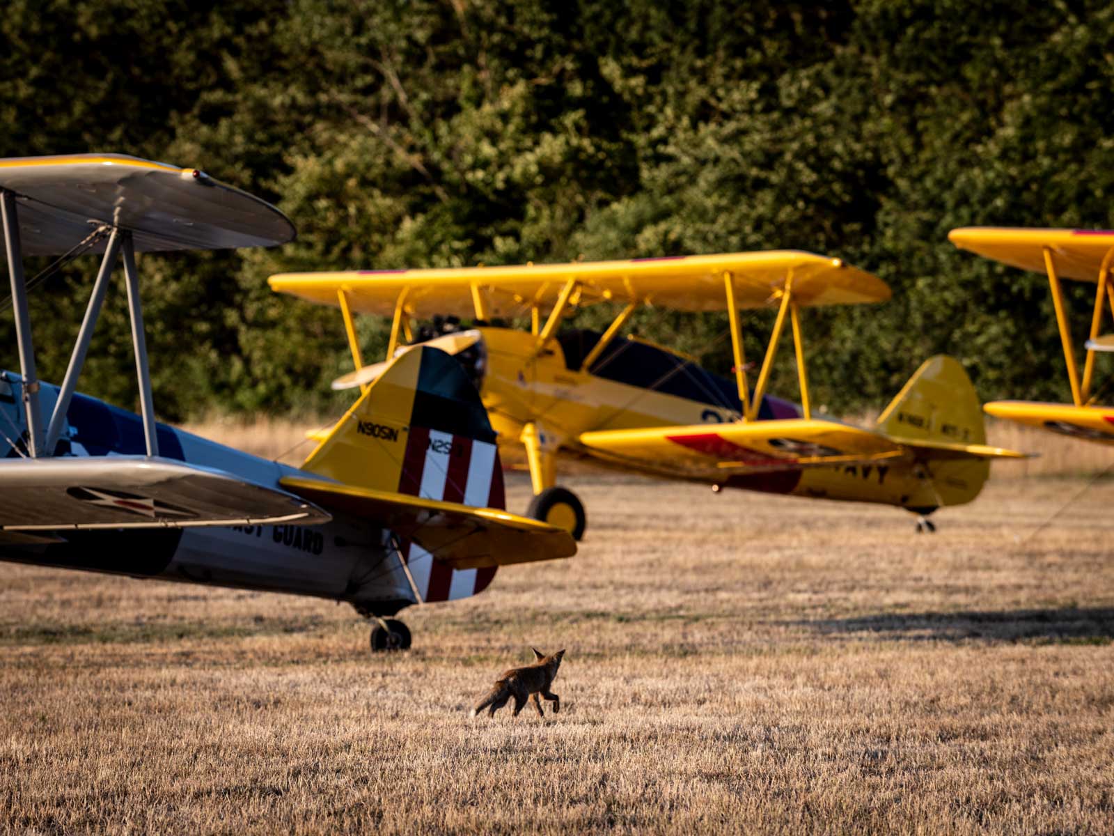 aerial photographer Philipp Prinzing plane photography