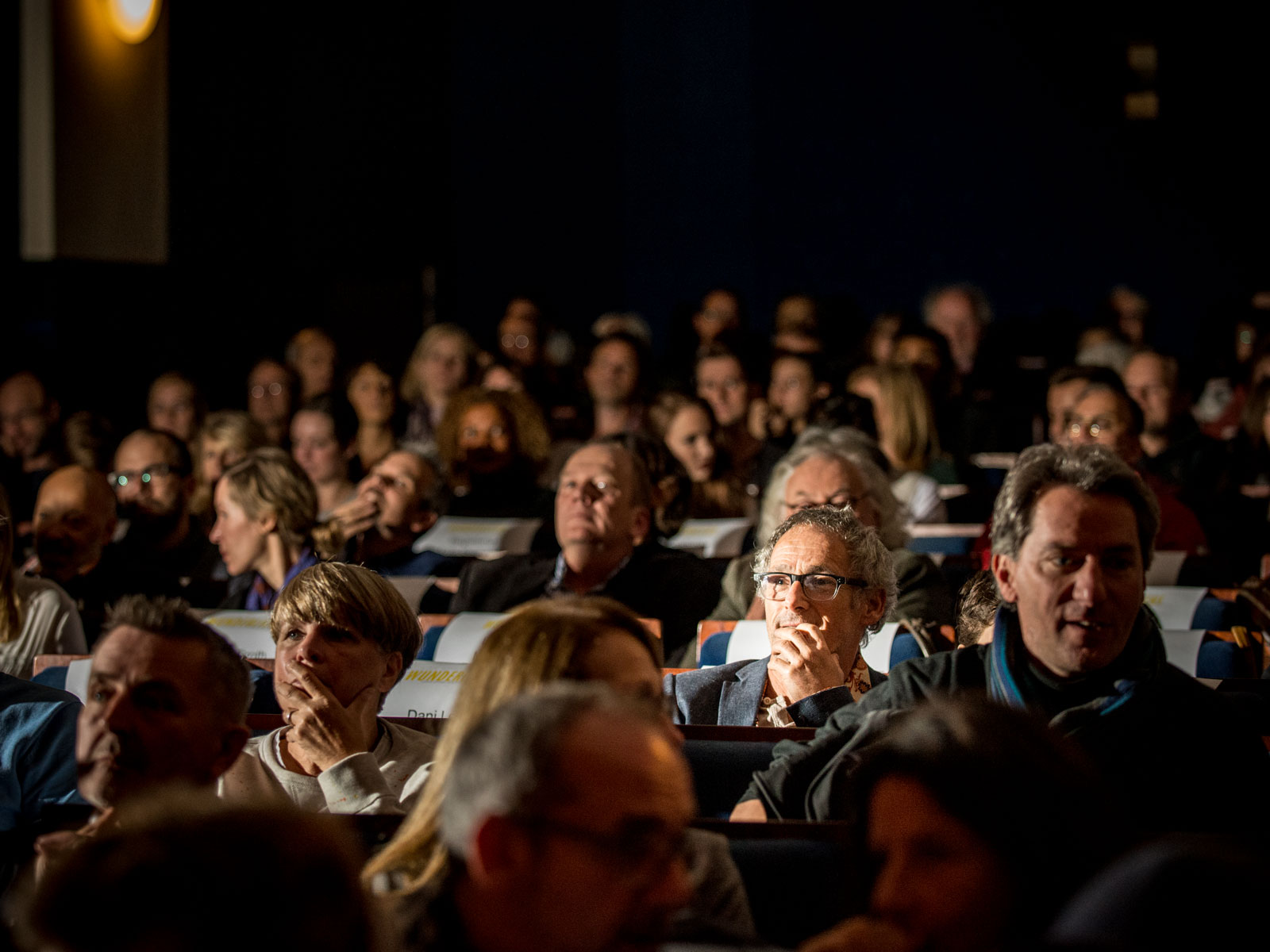 Director Dani Levi on his premiere day of his movie